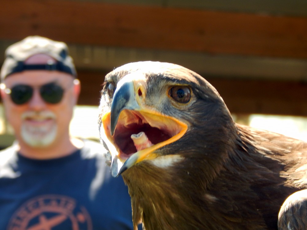RückblickAlpakaHoffest 2016 von der WinklerRanch